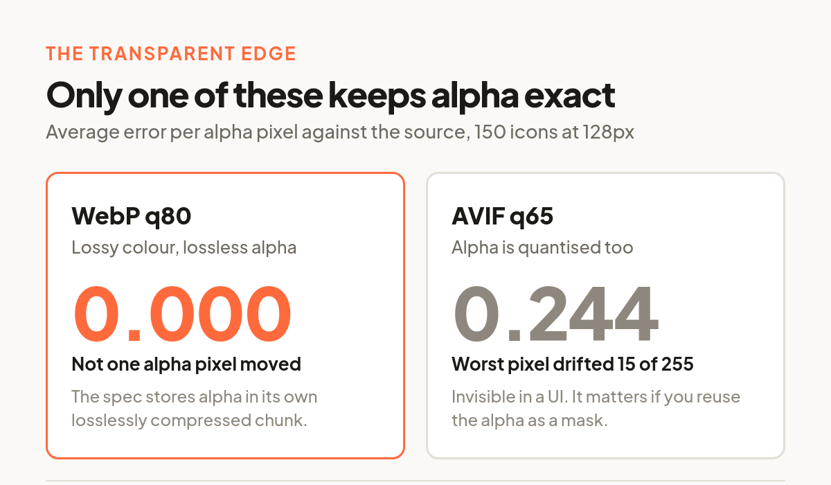 Comparison showing WebP q80 with 0.000 average alpha error against AVIF q65 with 0.244