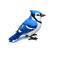 Blue Jay 3D icon