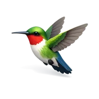 Hummingbird 3D icon