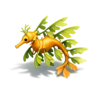Leafy Sea Dragon 3D icon