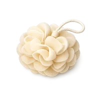 Loofah 3D icon