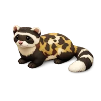 Marbled Polecat 3D icon