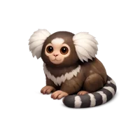 Marmoset 3D icon