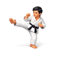 Martial Arts 3D icon