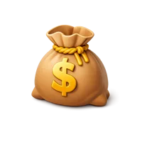 Money Bag 3D icon