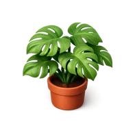Monstera 3D icon