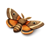 Moth 3D icon