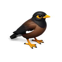 Myna 3D icon
