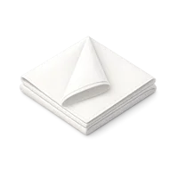 Napkin 3D icon