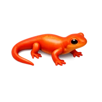 Newt 3D icon