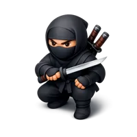 Ninja 3D icon