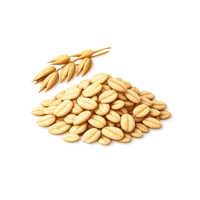 Oats 3D icon