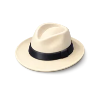 Panama Hat 3D icon