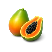 Papaya 3D icon
