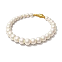 Pearl Necklace 3D icon