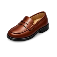 Penny Loafers 3D icon