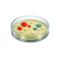 Petri Dish 3D icon