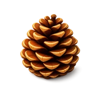 Pine Cone 3D icon