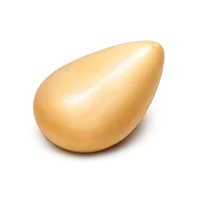 Pine Nut 3D icon