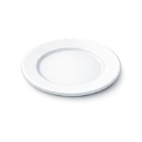 Plate 3D icon
