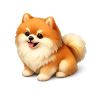 Pomeranian 3D icon