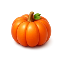 Pumpkin 3D icon