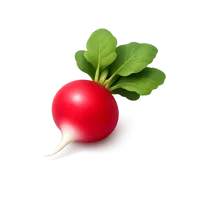 Radish 3D icon