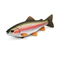 Rainbow Trout 3D icon