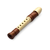 Recorder 3D icon