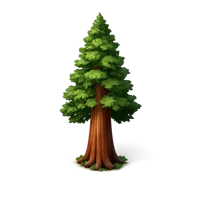 Redwood 3D icon