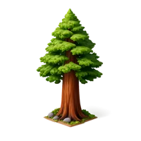 Redwood Tree 3D icon
