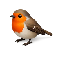 Robin 3D icon