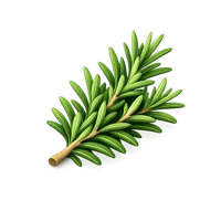 Rosemary 3D icon