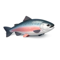 Salmon 3D icon