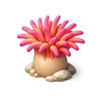Sea Anemone 3D icon