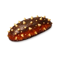 Sea Cucumber 3D icon