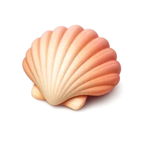 Seashell 3D icon