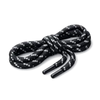 Shoelace 3D icon