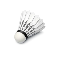 Shuttlecock 3D icon
