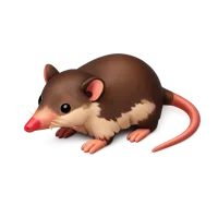 Solenodon 3D icon