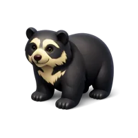 Spectacled Bear 3D icon