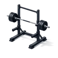 Squat Rack 3D icon