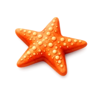 Starfish 3D icon
