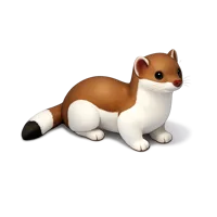 Stoat 3D icon