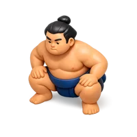 Sumo 3D icon