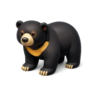Sun Bear 3D icon