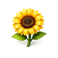 Sunflower 3D icon