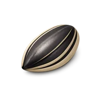 Sunflower Seed 3D icon
