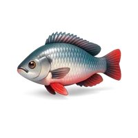 Tilapia 3D icon