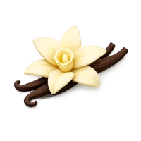 Vanilla 3D icon